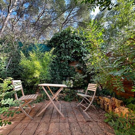 Charmant Studio Lodge Climatise Avec Jardin Et Vue Sur Le Pic Saint Loup Jacou Exterior foto